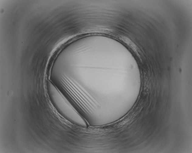 X0000083661072200703121805