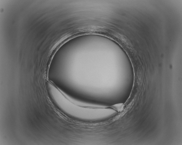 X0000083661073200703121805