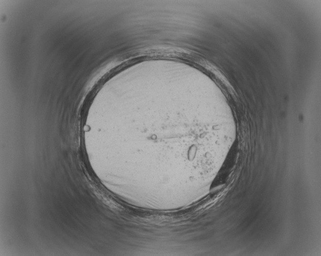 X0000083661075200703121805