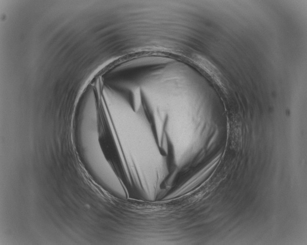 X0000083661076200703121805