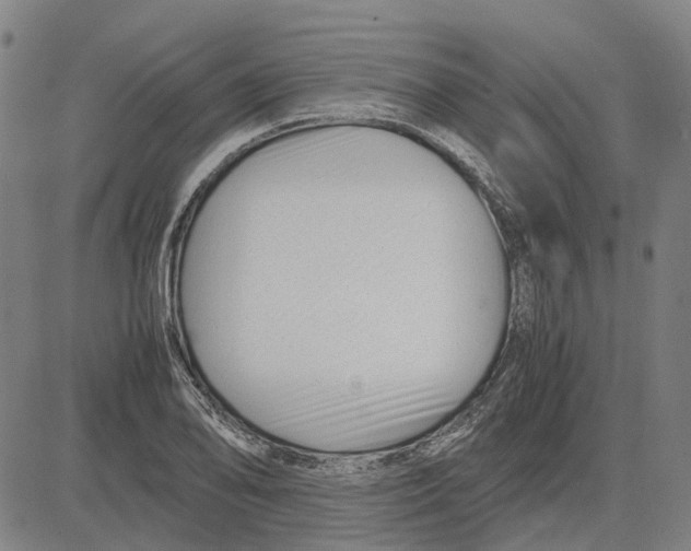 X0000083661078200703121805