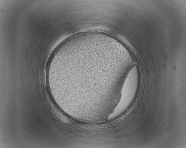 X0000083661079200703121805