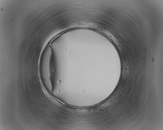 X0000083661080200703121805