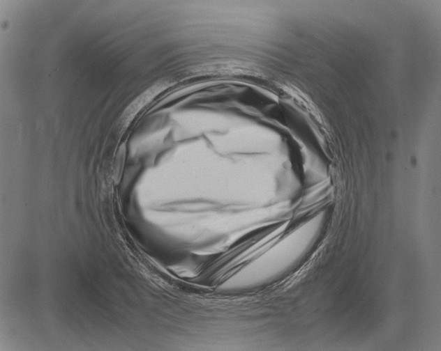 X0000083661081200703121805