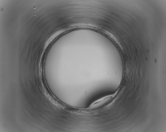 X0000083661082200703121805