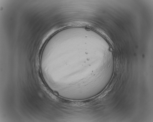 X0000083661083200703121805