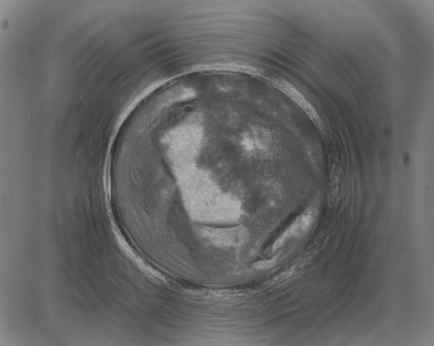 X0000083661084200703121805