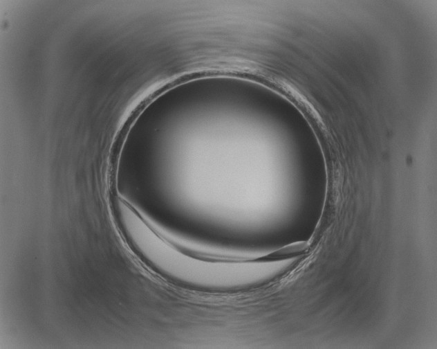 X0000083661085200703121805