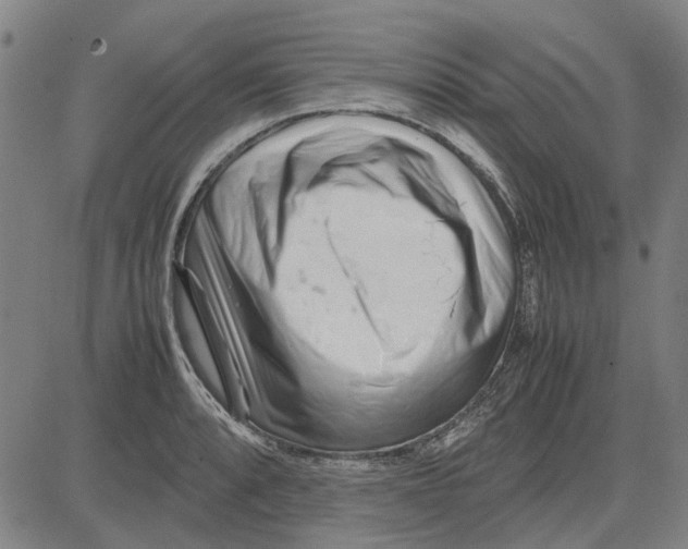 X0000083661088200703121805