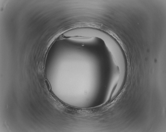 X0000083661089200703121805