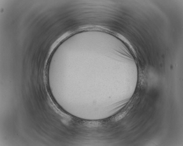 X0000083661090200703121805