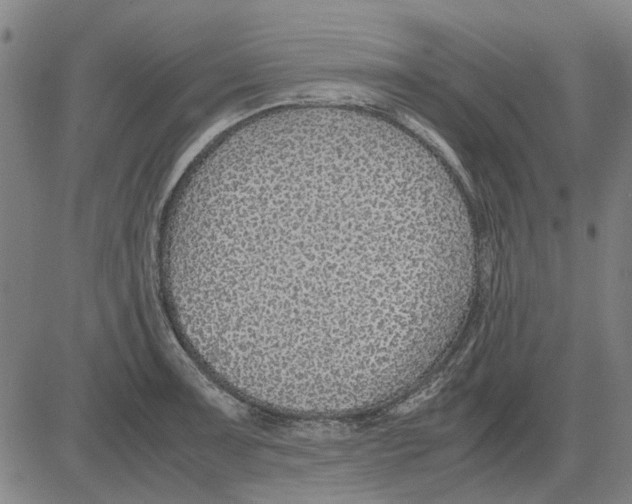 X0000083661091200703121805