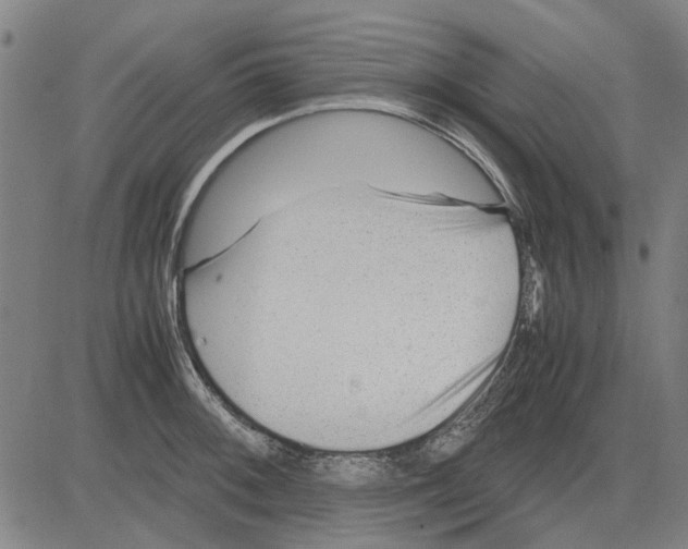 X0000083661092200703121805