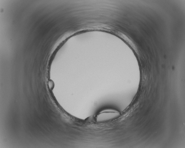 X0000083661093200703121805