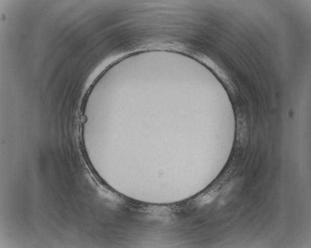 X0000083661094200703121805