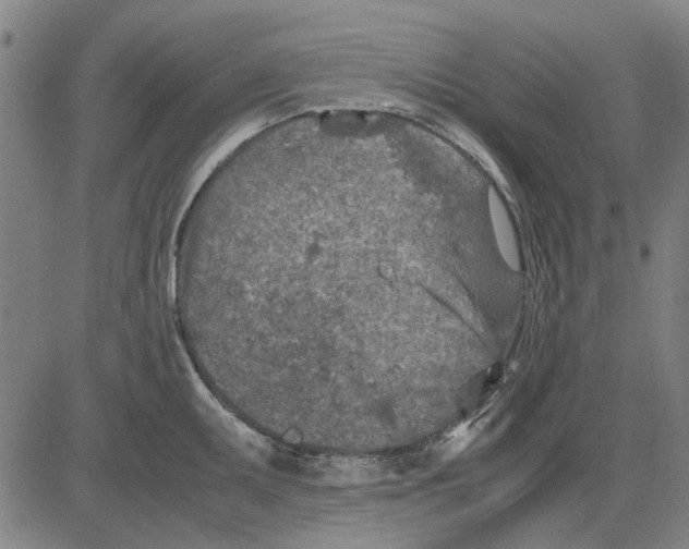 X0000083661095200703121805