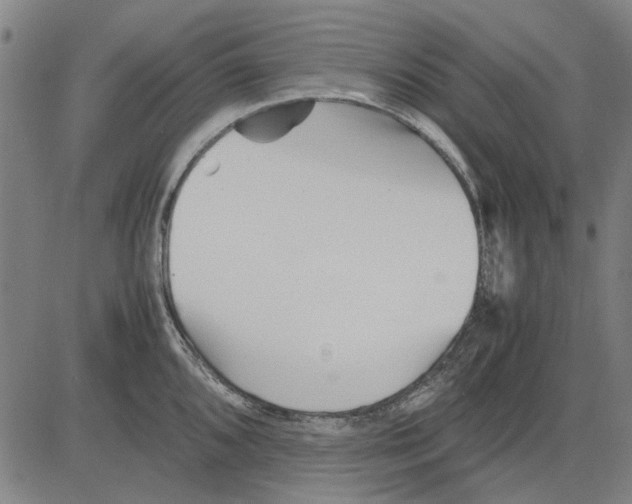 X0000083661096200703121805