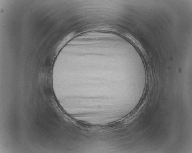 X0000083661097200703121805