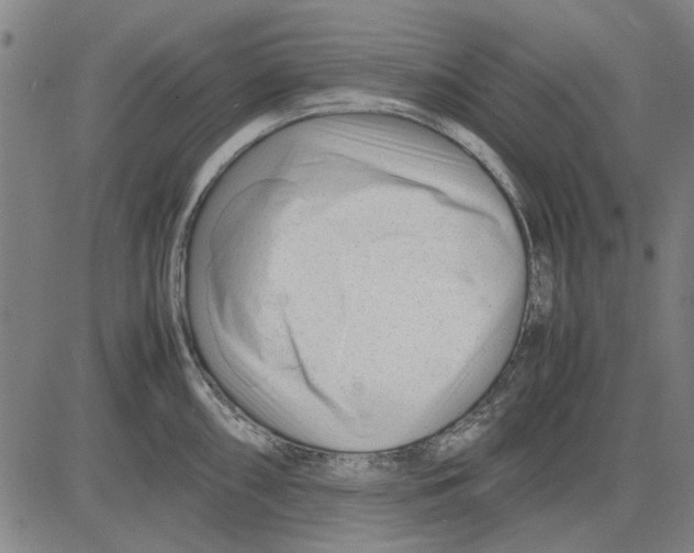 X0000083661098200703121805