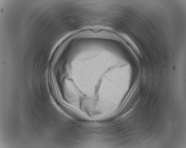 X0000083661100200703121805