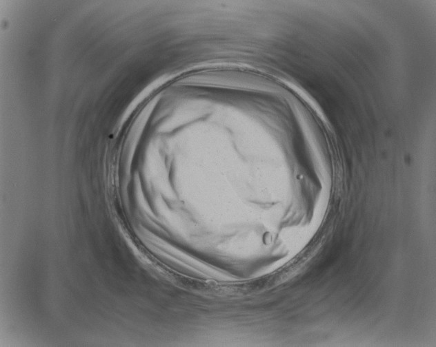 X0000083661101200703121805