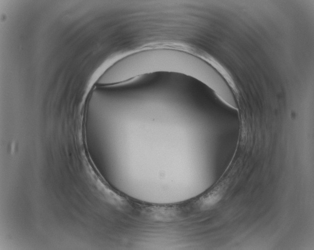 X0000083661102200703121805