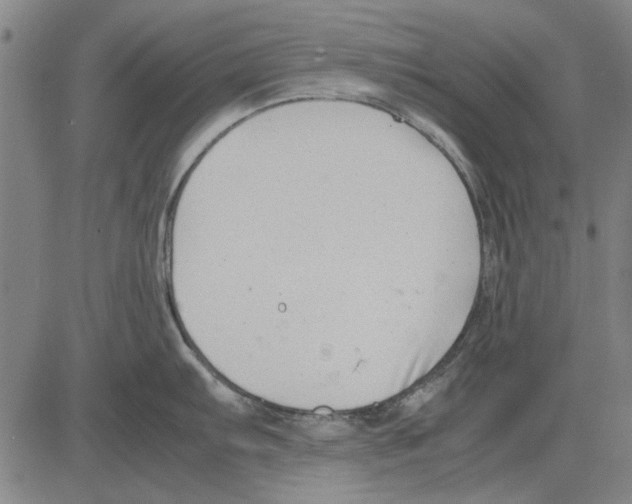 X0000083661103200703121805