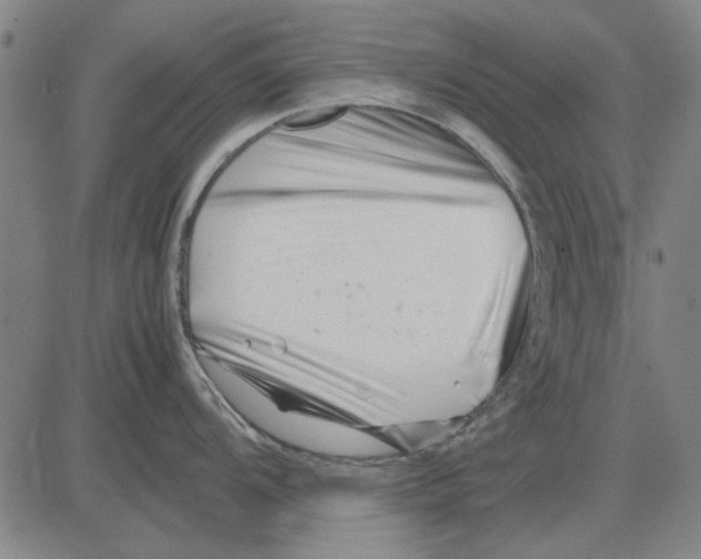 X0000083661104200703121805