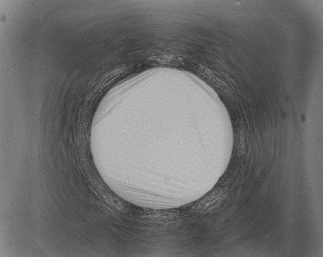 X0000083661105200703121804