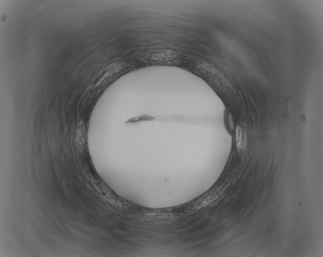 X0000083661107200703121804