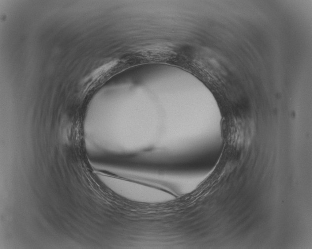 X0000083661108200703121804