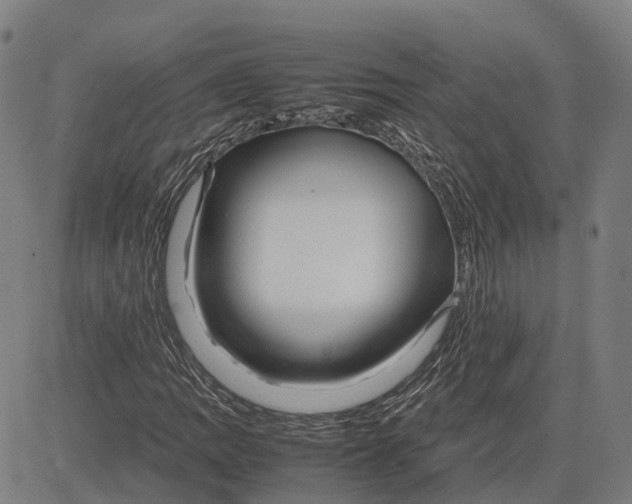 X0000083661109200703121804