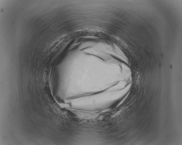 X0000083661110200703121804