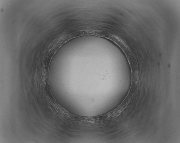 X0000083661111200703121804