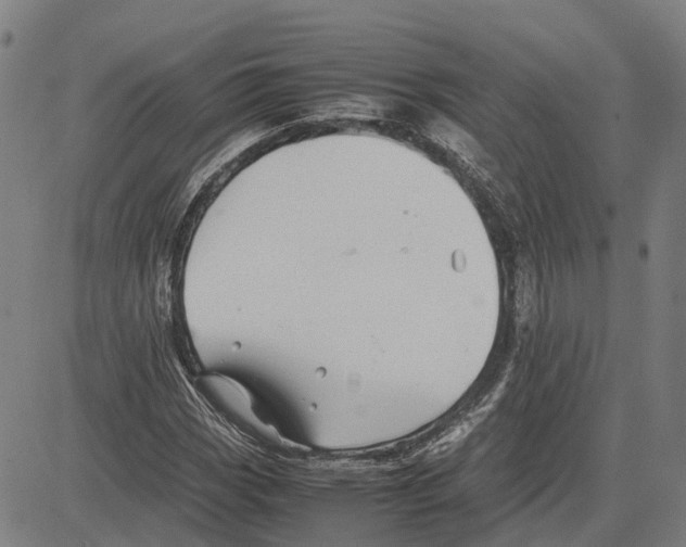 X0000083661113200703121804