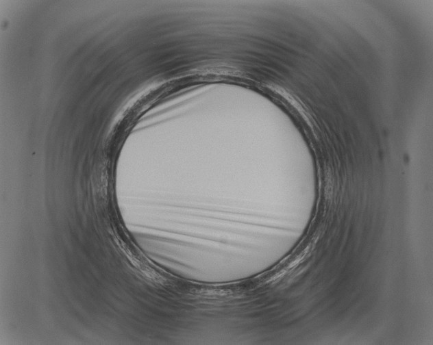 X0000083661115200703121804