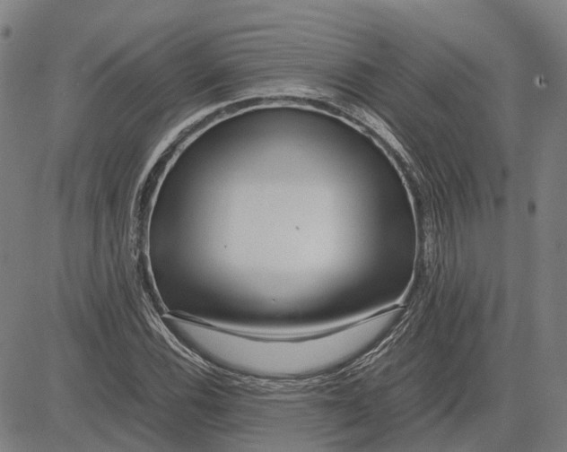 X0000083661116200703121804