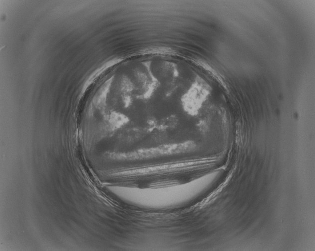 X0000083661117200703121804