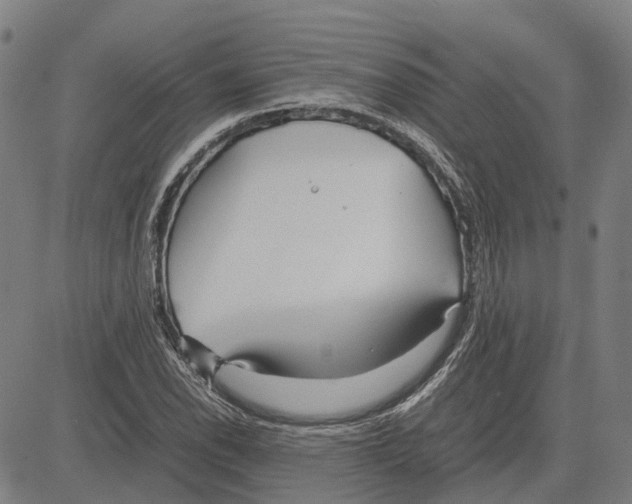 X0000083661118200703121804