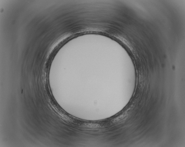 X0000083661119200703121804