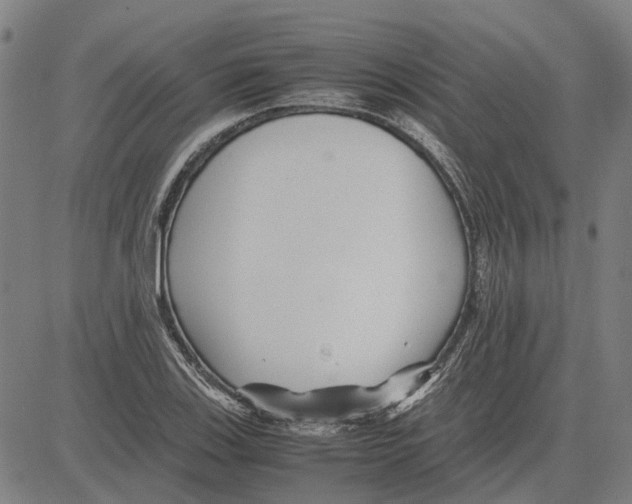 X0000083661123200703121804