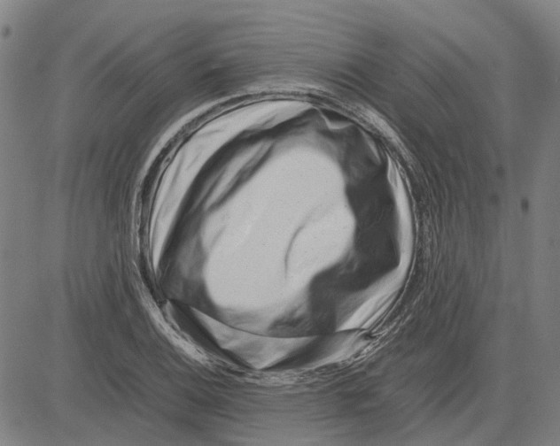 X0000083661124200703121804