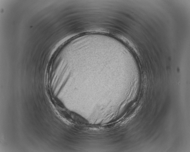 X0000083661125200703121804