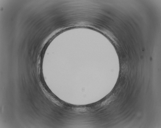 X0000083661126200703121804