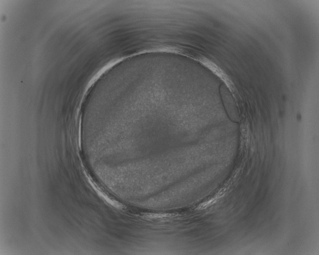 X0000083661127200703121804