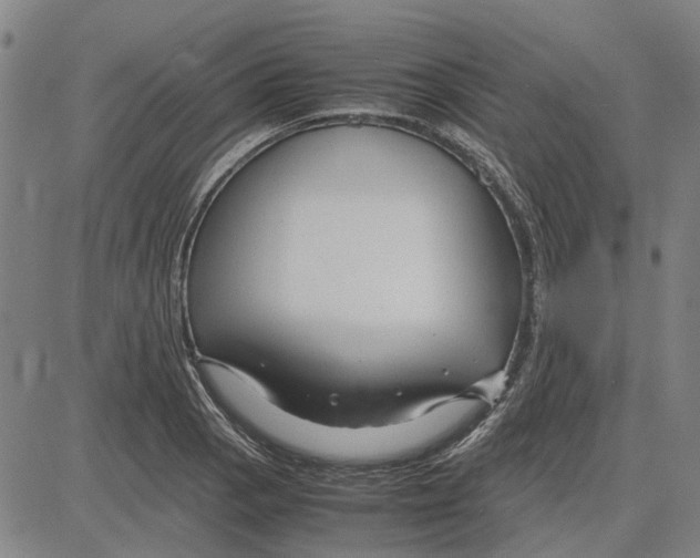 X0000083661129200703121804