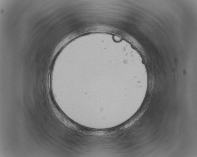 X0000083661130200703121804