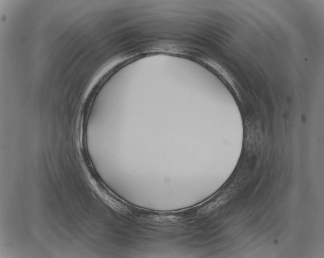 X0000083661131200703121804