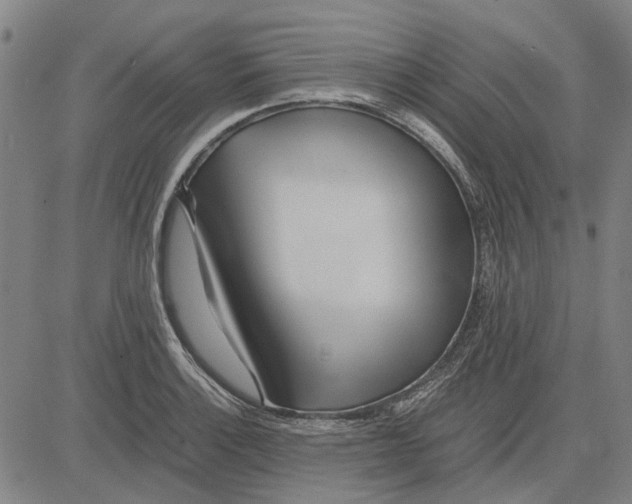 X0000083661132200703121804