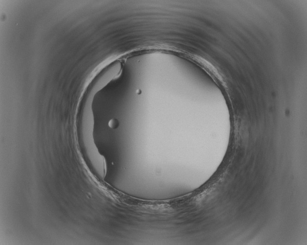 X0000083661133200703121804